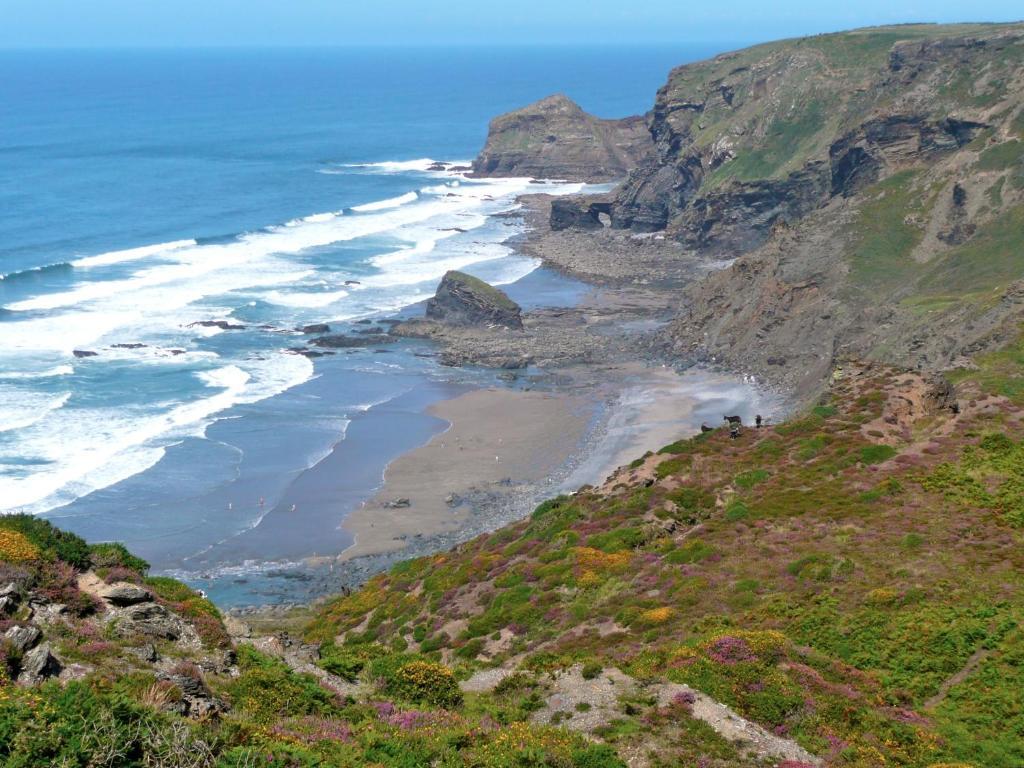 The Old Rectory Bed & Breakfast Boscastle Bagian luar foto