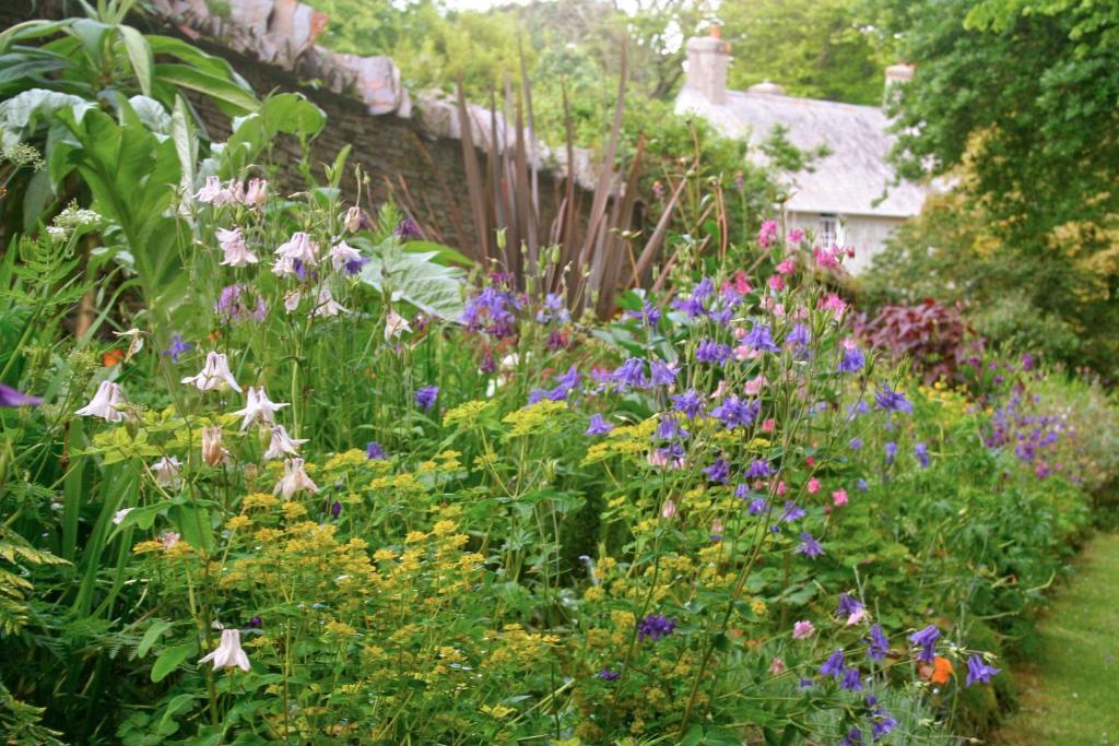 The Old Rectory Bed & Breakfast Boscastle Bagian luar foto